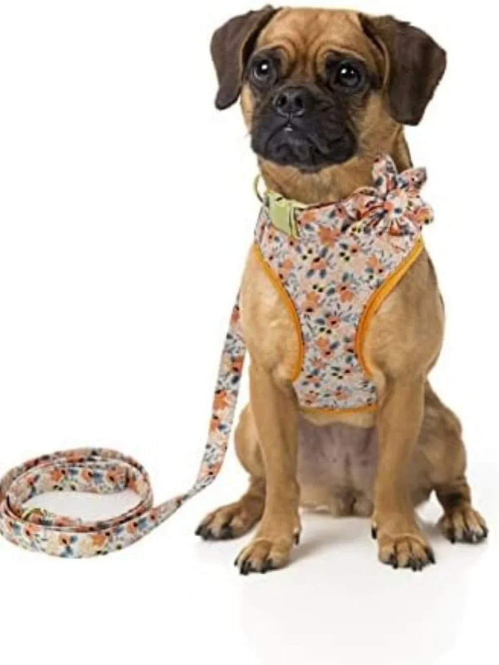 Floral Pattern Dog Collar, Harness & Leash Set - Cute Orange Design, Small Size